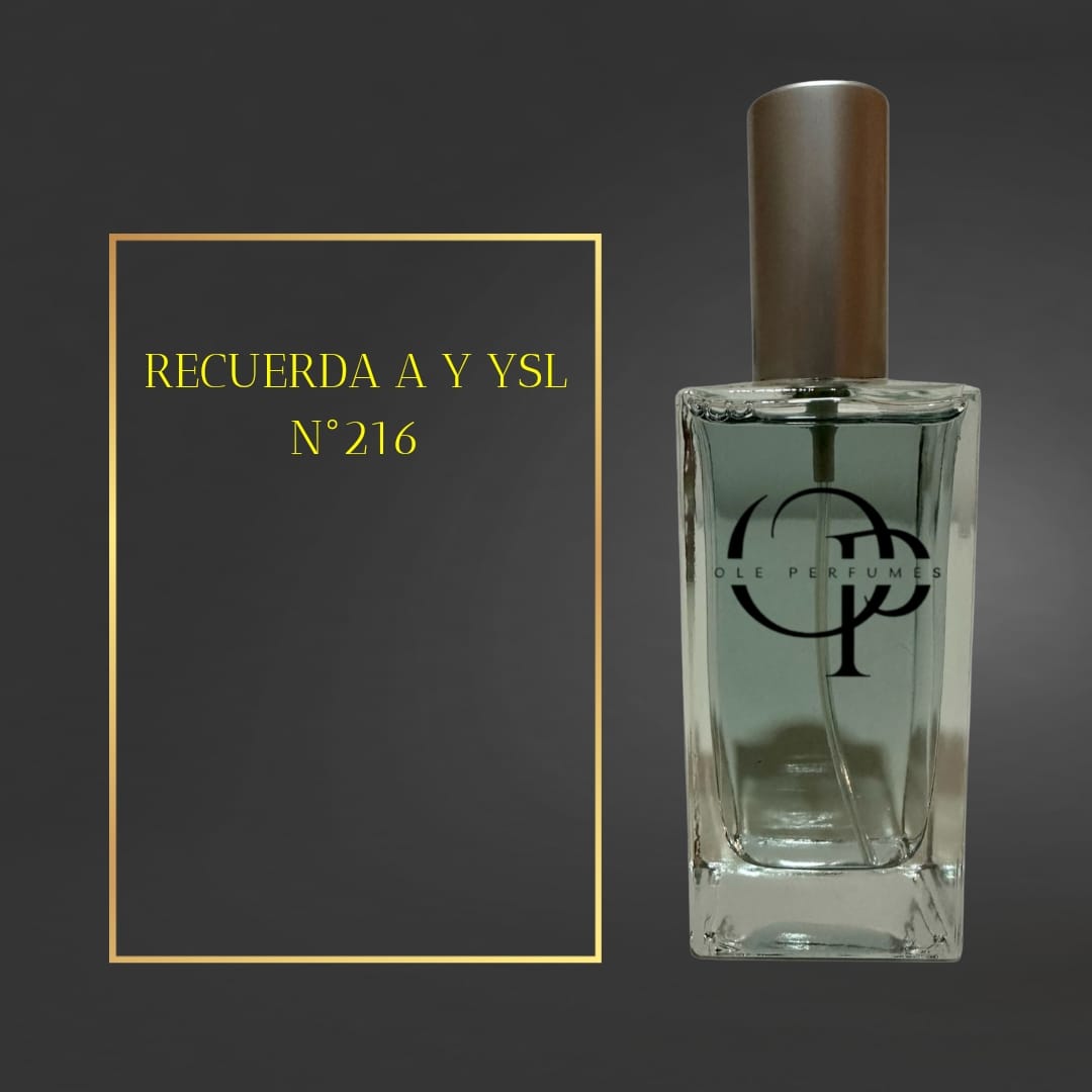 216 INSPIRADO EN Y YSL
