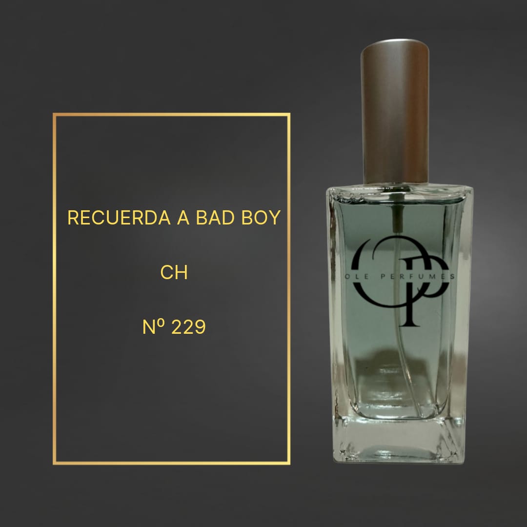 229 INSPIRADO EN BAD BOY CH