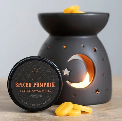 Calabaza Especiada - Wax Melt